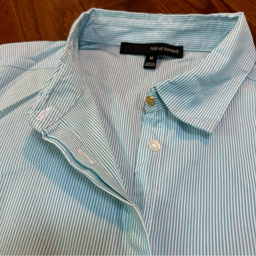 Harve Benard Women's Blue Striped Button Down Shirt